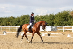 SBM_007481