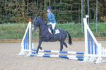 Pendarves Showjumping Series Championships 28.09.2025 portfolio