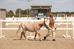 SBM_04516