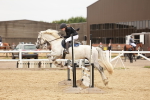 SBM_008223