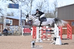 Cls 5 Foxhunter and 1.20m portfolio