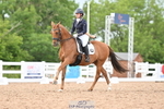 Cls 17 BD FEI PSG portfolio