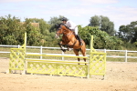 SBM_008080