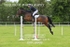 BPP_8998