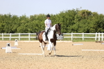 SBM_010134