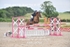 BPP_8067
