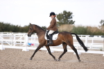 SBM_07928