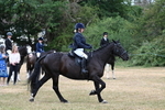 WJ7_1170