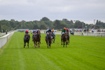 220824-Race 1-Celandine-6544