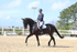 3E7A9361