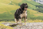 Skiddaw-16