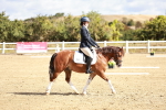 SBM_009930