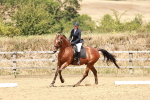 SBM_003598