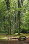 <center>Quiet Spot</center>