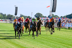 240726-Race 2-Vaguely Royal-5095
