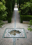 real alcazar c 24