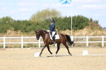 SBM_013976