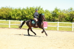 SBM_000356