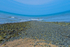 ACP_7372-2