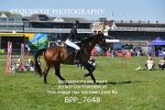 BPP_7648