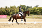 SBM_002594