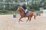 BPP_3110
