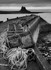 Lindisfarne Harbour