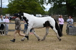 WJ6_8386