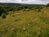 Sally Clark's Meadow