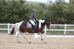 SBM_003019