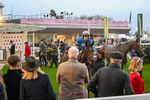 151125-Race 7-Divine Diva-4809