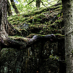 Lake District 021