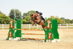 SBM_000985