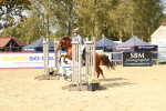 SBM_49393