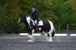 WJ5_8704