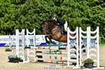 Cls 51 British Novice 90cm Open portfolio