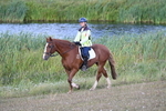 WJ7_3355
