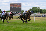 220726-Race 3-Wise Crack-9593