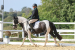 0I1A3036