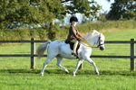 SBM_56430