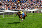 220826-Race 2-Infraad-0303