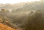 Brynberian Autumn Mist
