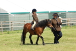 SBM_05241