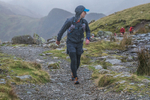 Langdale-723