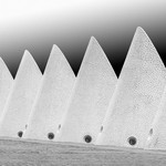 Cones, City of Arts and Sciences, Valencia - Version 1