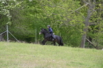 WJ6_1435