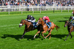 120626-Race 6-Rotokura Belle-0356