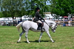 SBM_17462