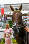 170623-Race 1-Kihavah-0282