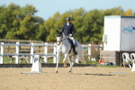 SBM_001264
